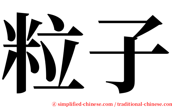 粒子 serif font