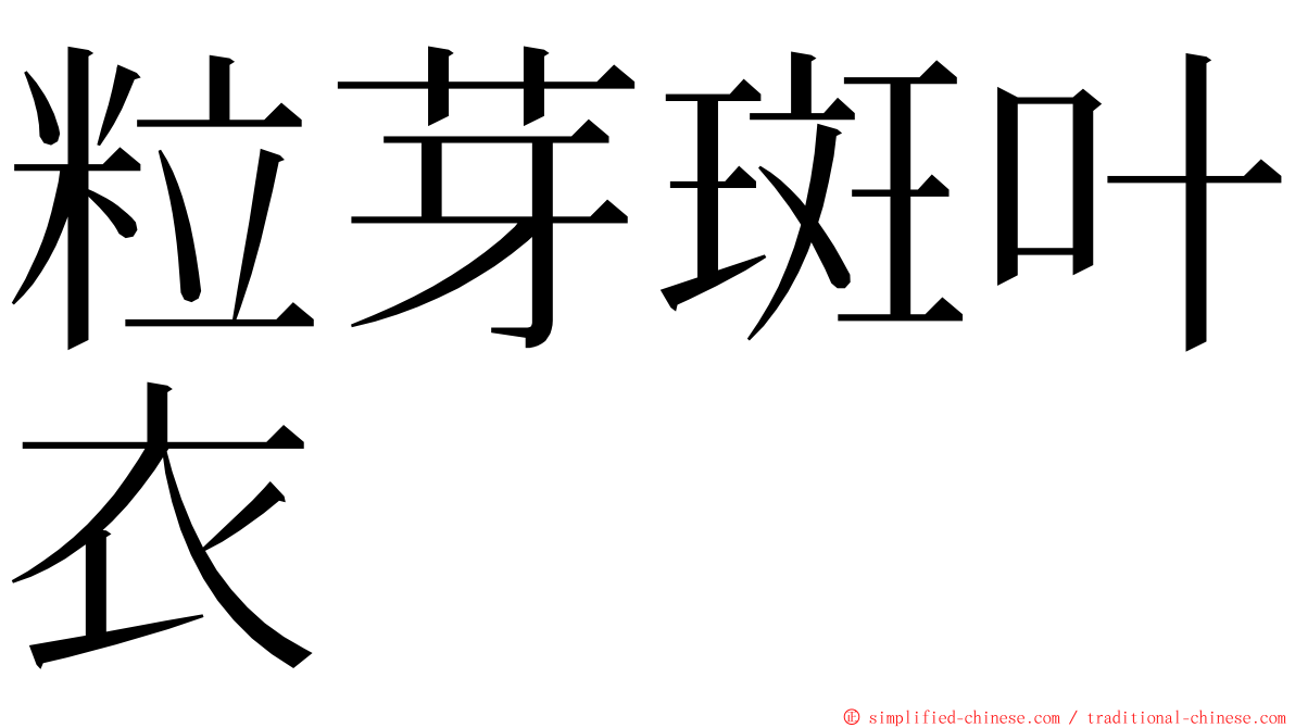 粒芽斑叶衣 ming font
