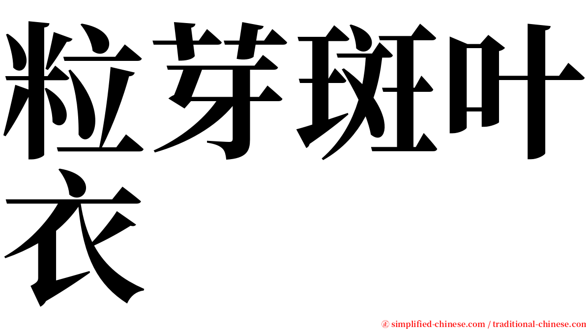 粒芽斑叶衣 serif font