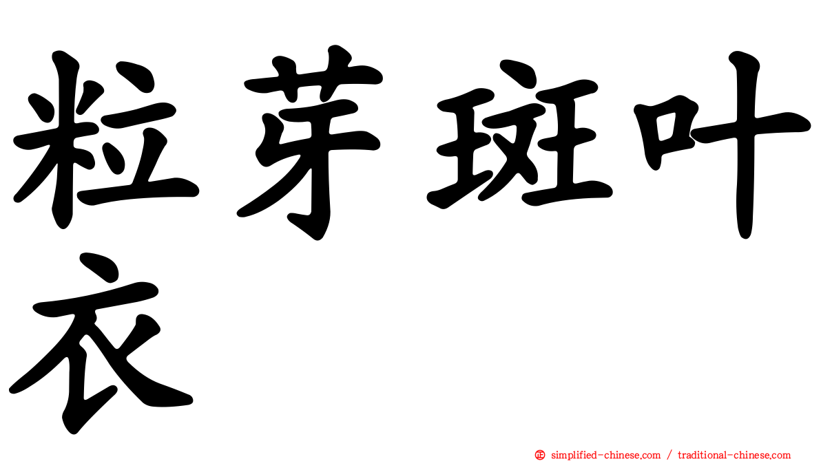 粒芽斑叶衣
