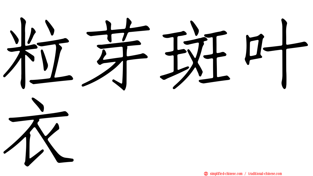 粒芽斑叶衣
