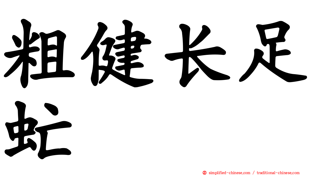 粗健长足虻