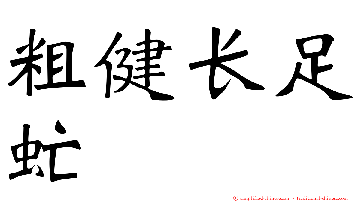 粗健长足虻