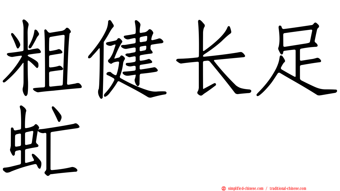 粗健长足虻