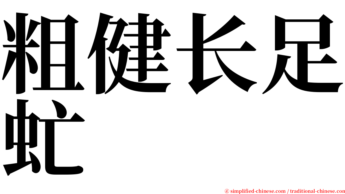 粗健长足虻 serif font
