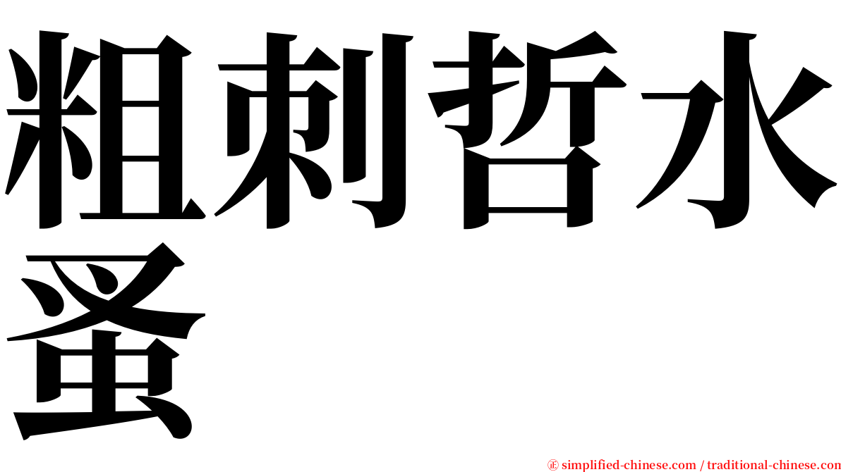粗刺哲水蚤 serif font