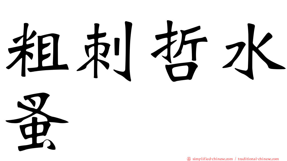 粗刺哲水蚤