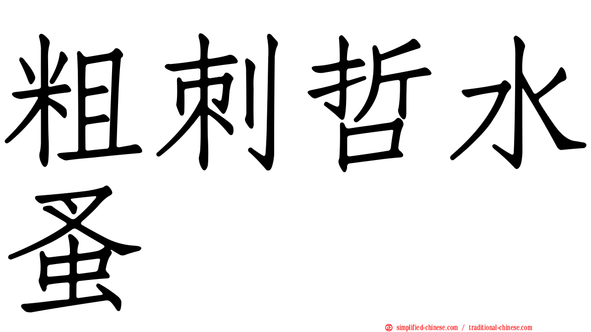 粗刺哲水蚤