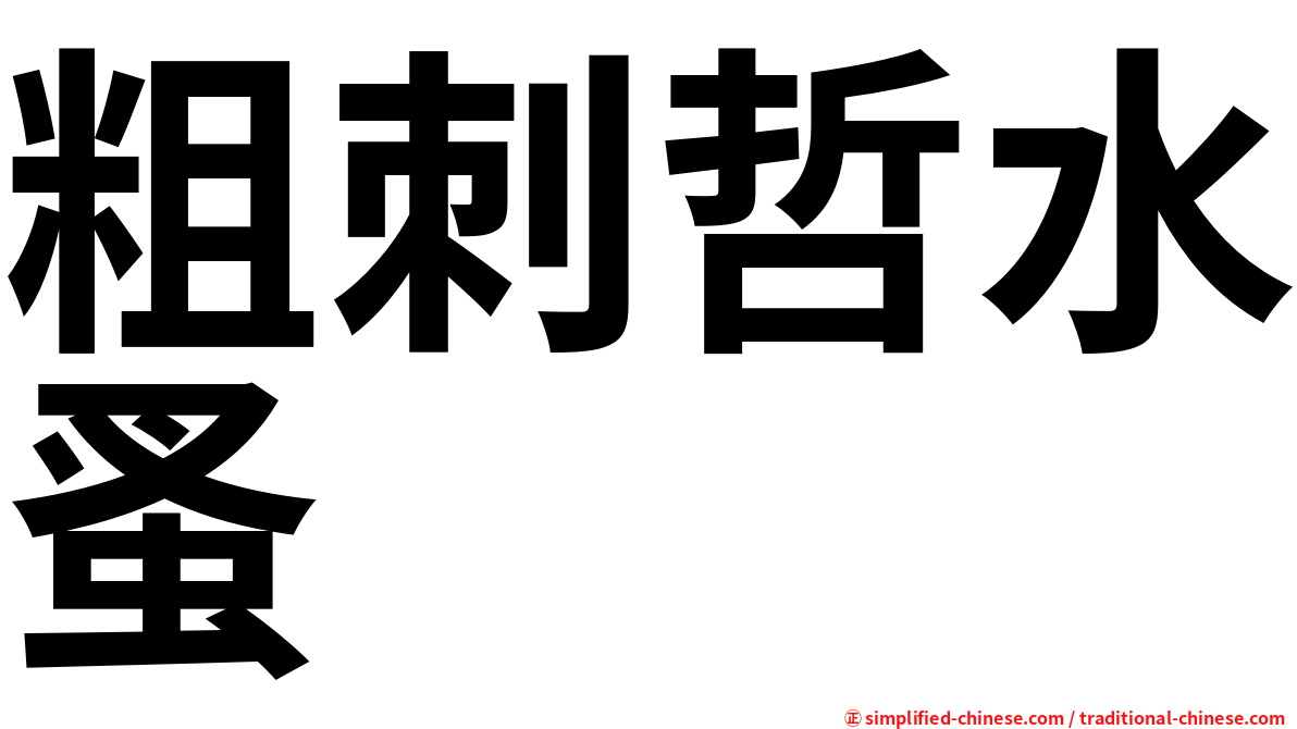 粗刺哲水蚤