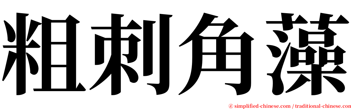 粗刺角藻 serif font