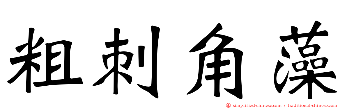 粗刺角藻