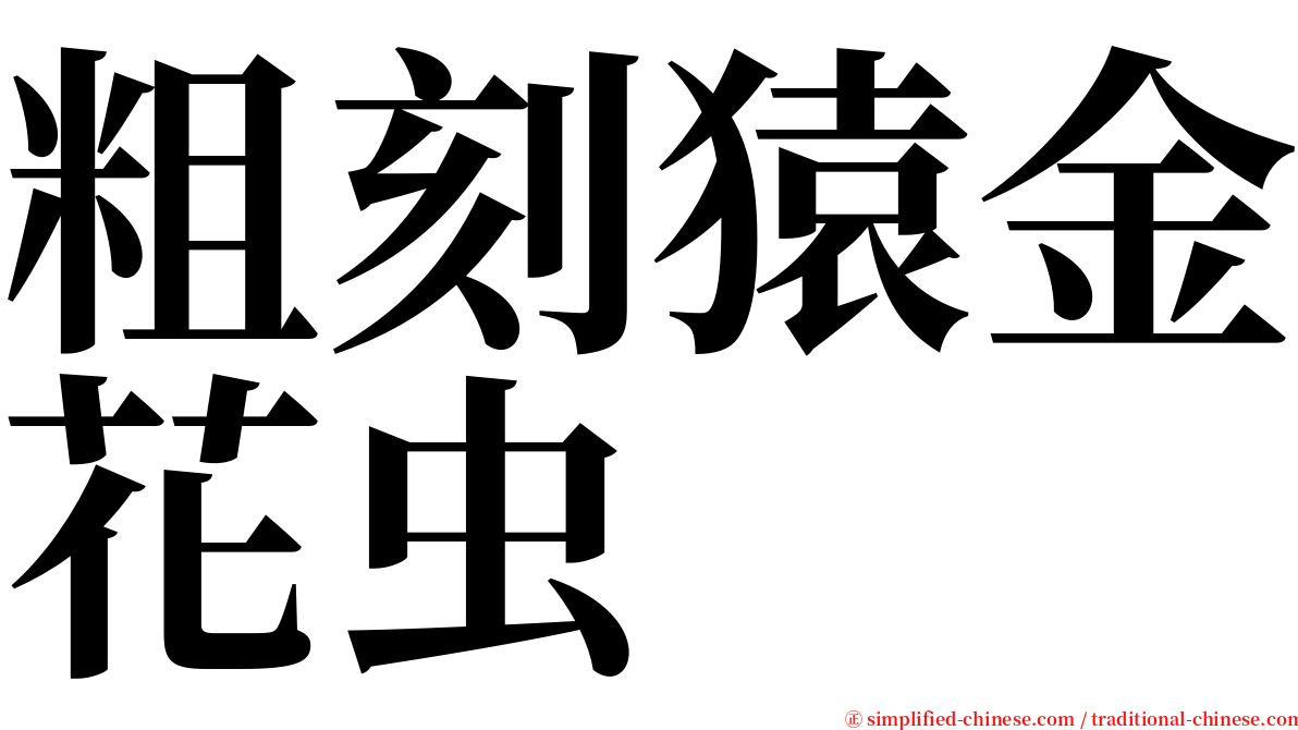 粗刻猿金花虫 serif font