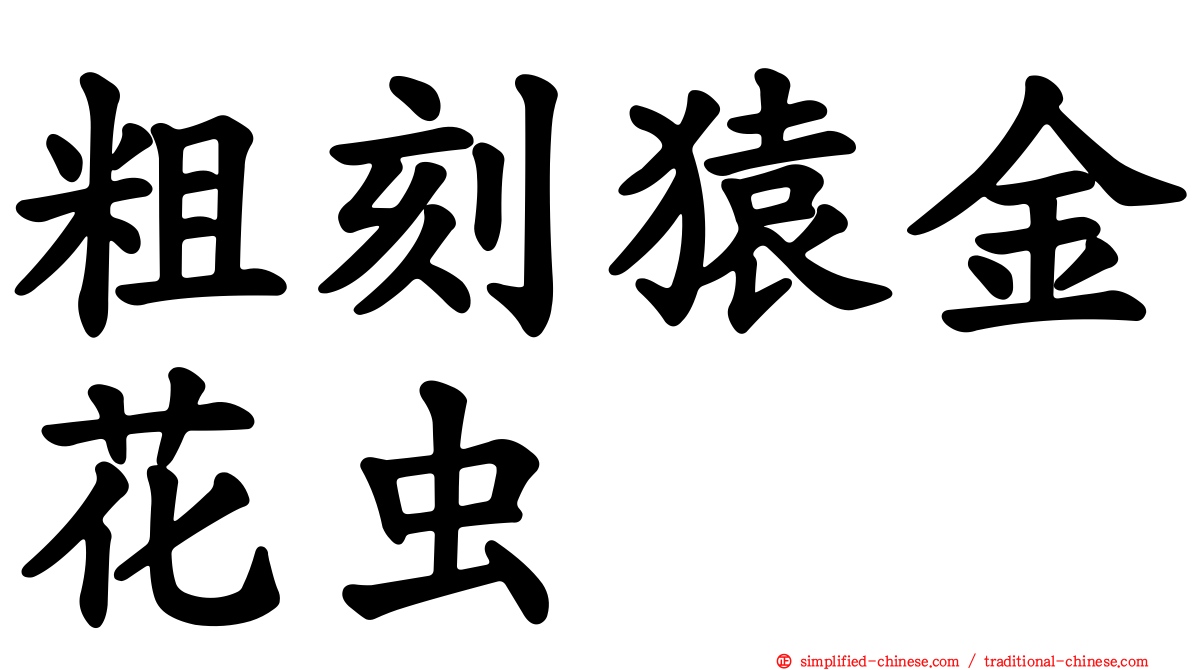 粗刻猿金花虫