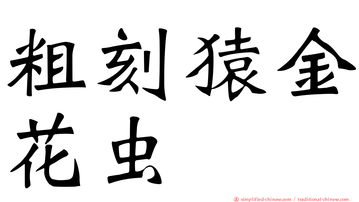 粗刻猿金花虫