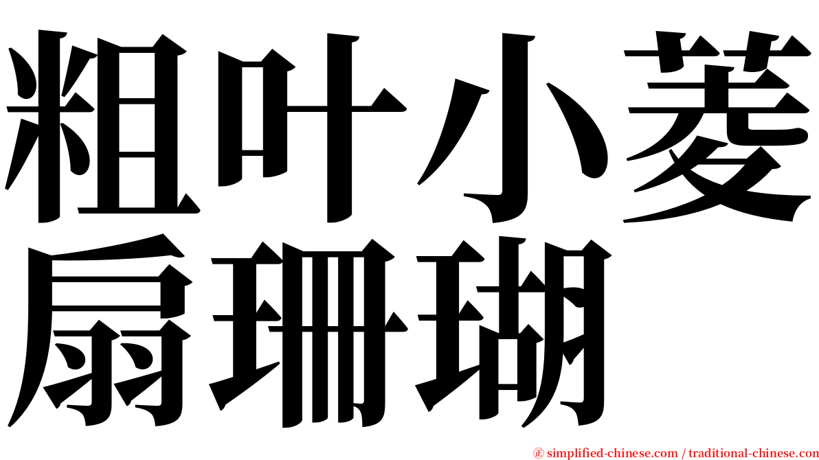 粗叶小菱扇珊瑚 serif font