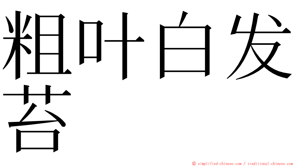 粗叶白发苔 ming font