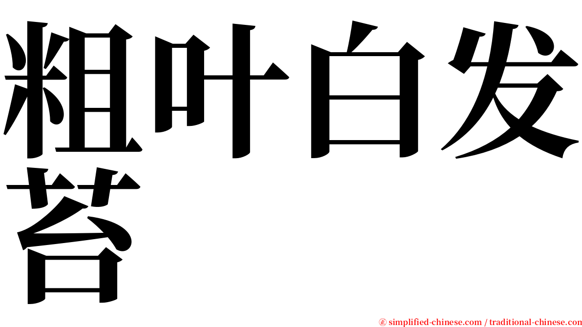 粗叶白发苔 serif font