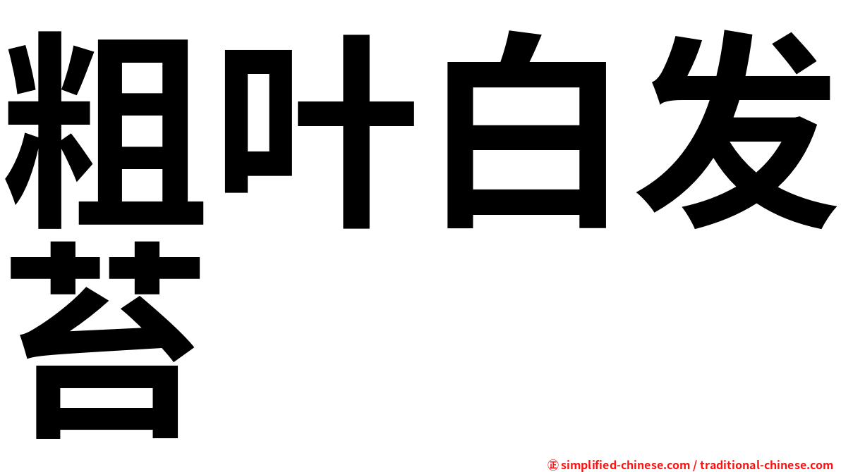 粗叶白发苔