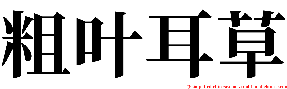 粗叶耳草 serif font