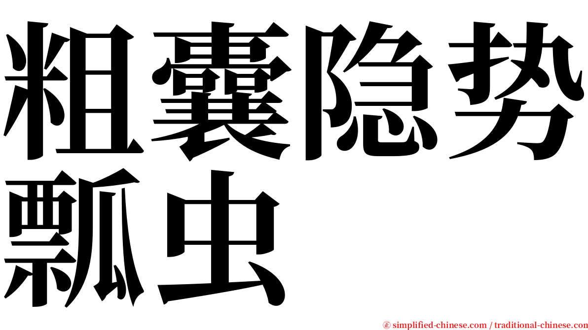 粗囊隐势瓢虫 serif font