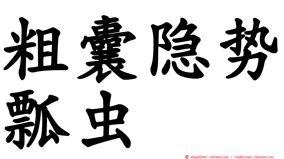 粗囊隐势瓢虫