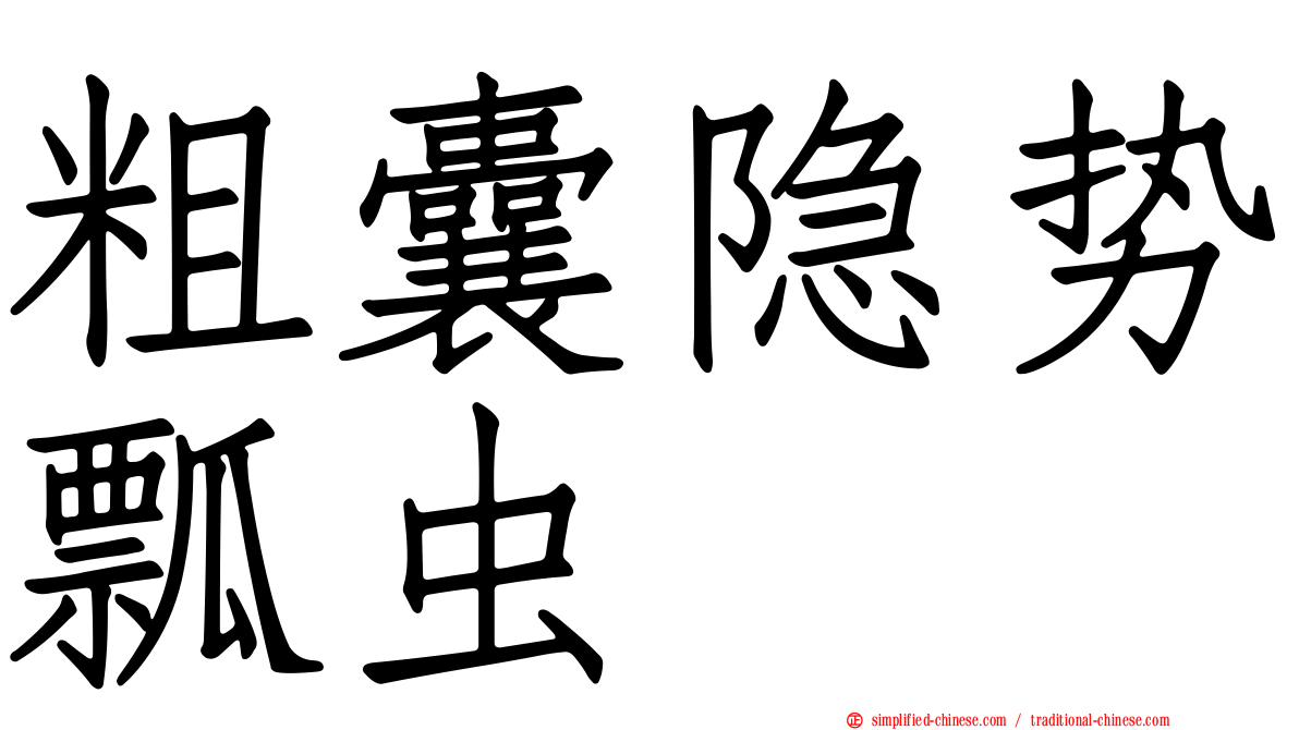 粗囊隐势瓢虫