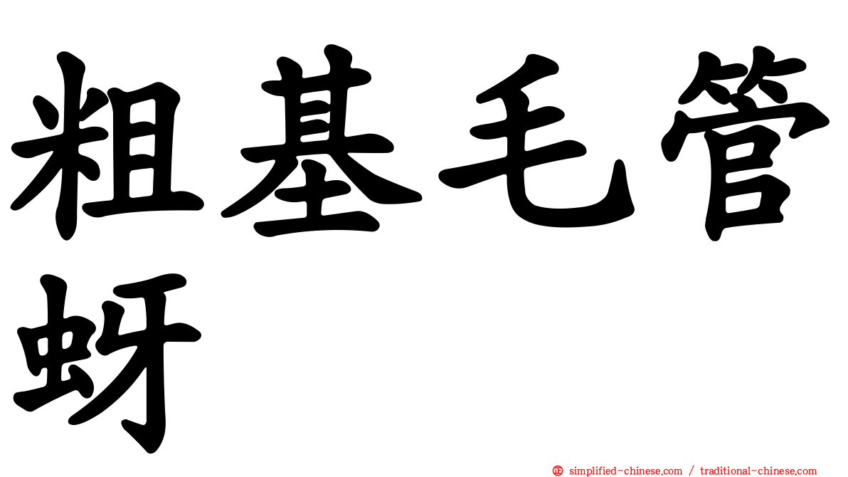 粗基毛管蚜