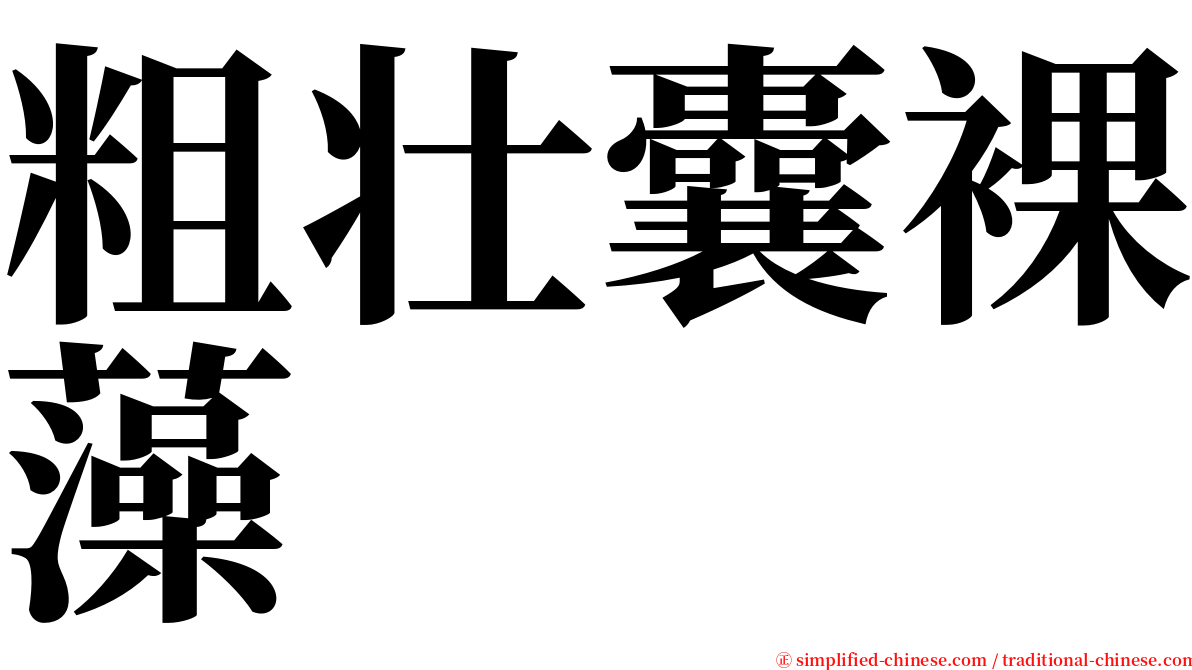粗壮囊裸藻 serif font