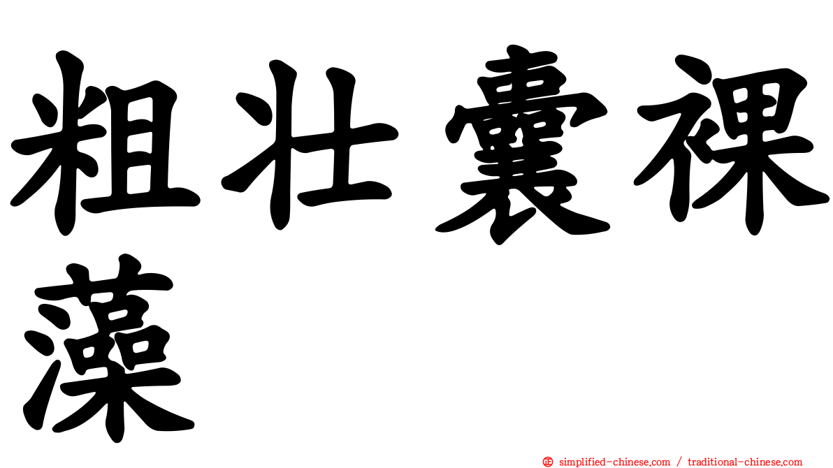 粗壮囊裸藻