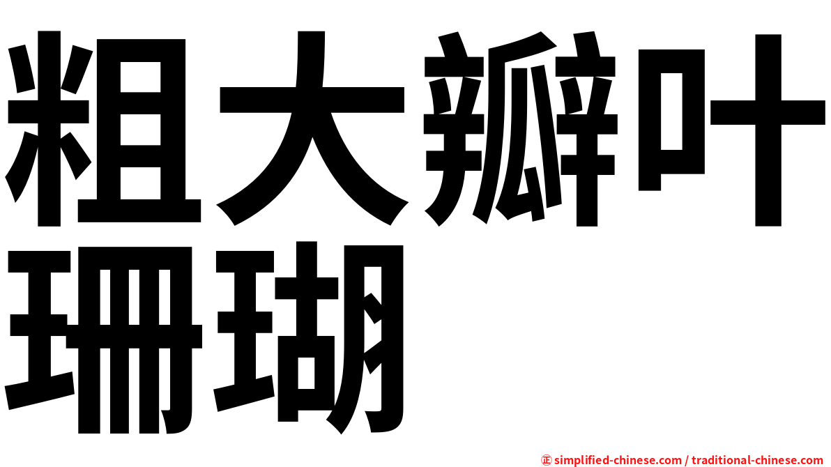 粗大瓣叶珊瑚