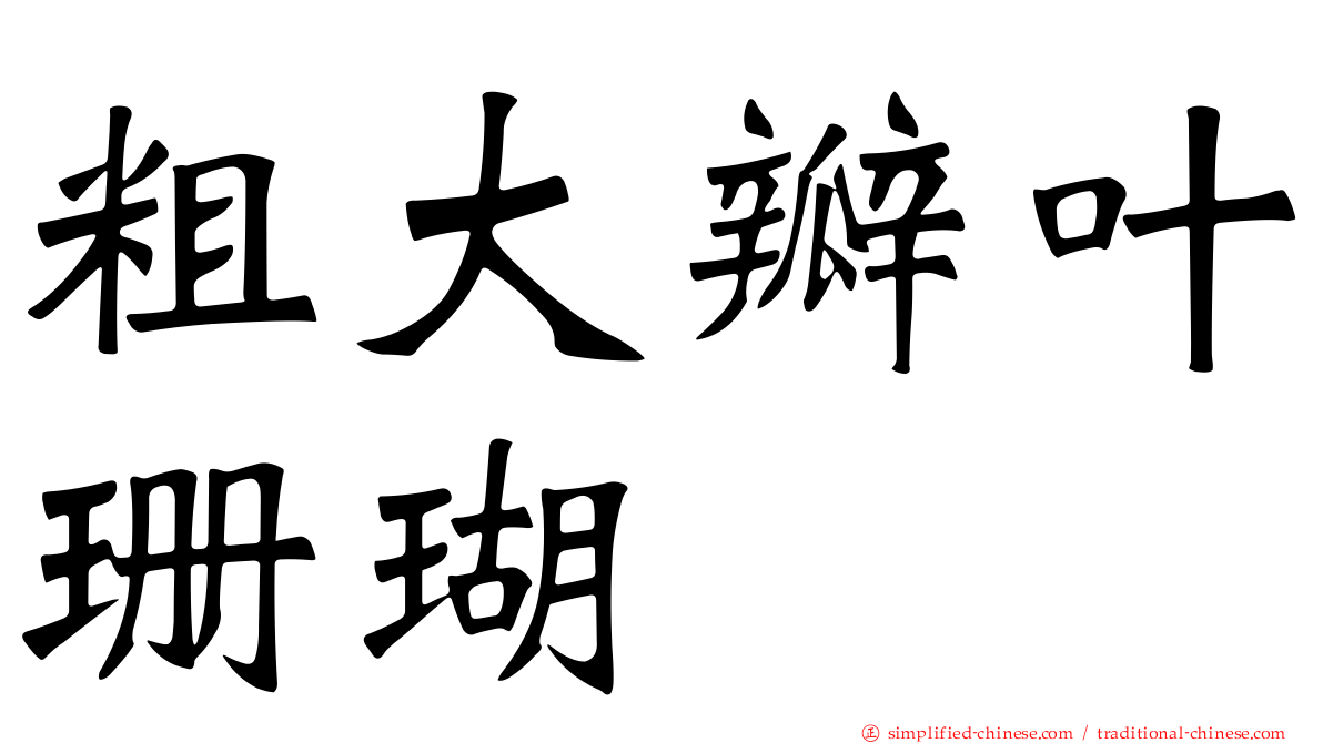 粗大瓣叶珊瑚