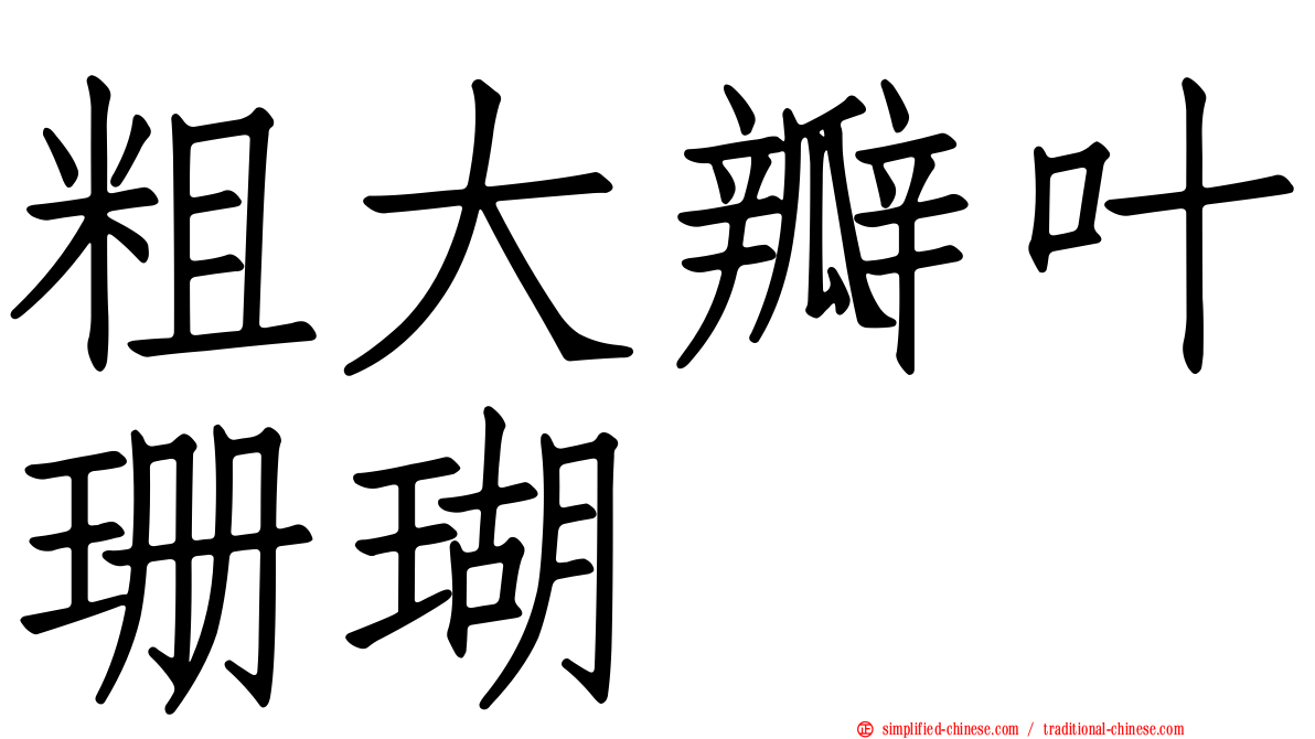 粗大瓣叶珊瑚