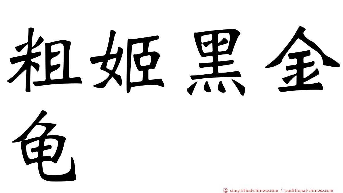 粗姬黑金龟