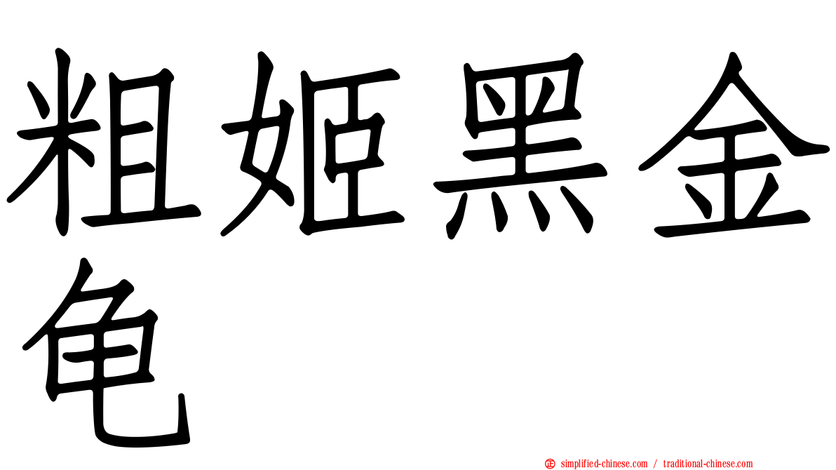 粗姬黑金龟