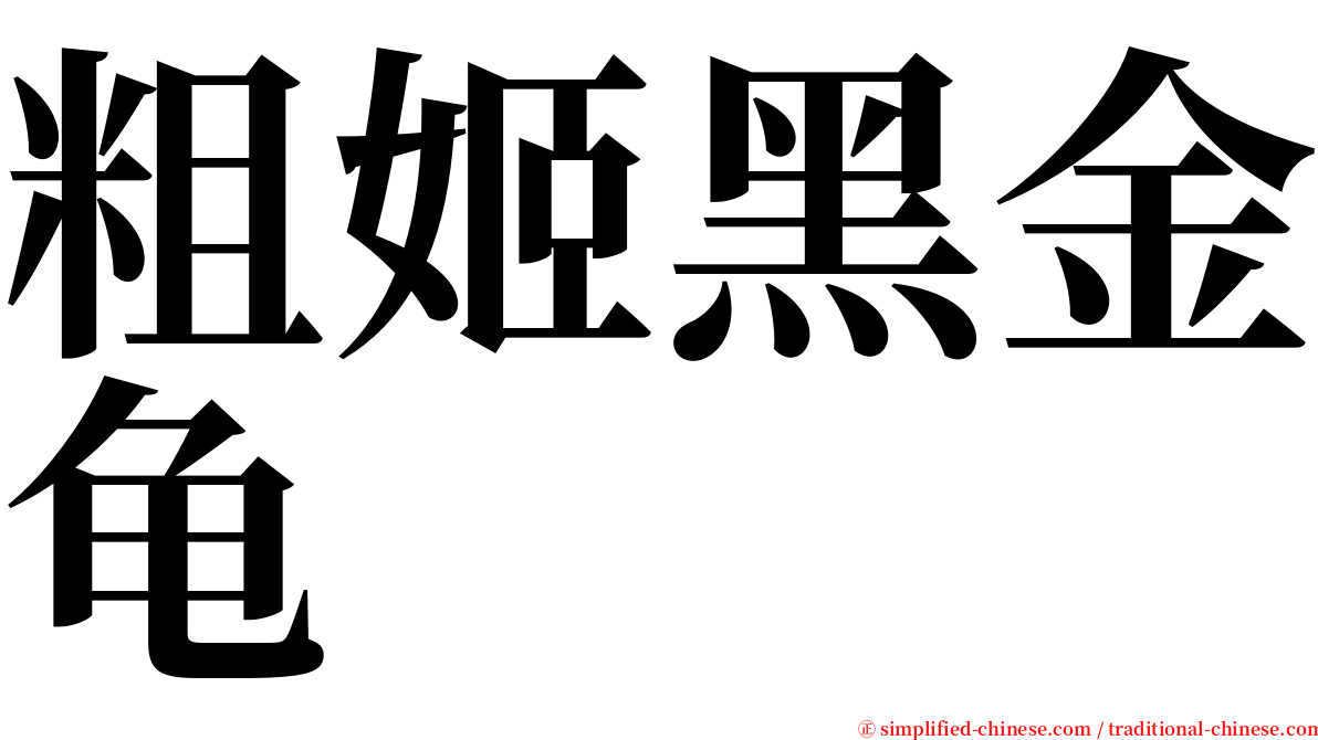 粗姬黑金龟 serif font