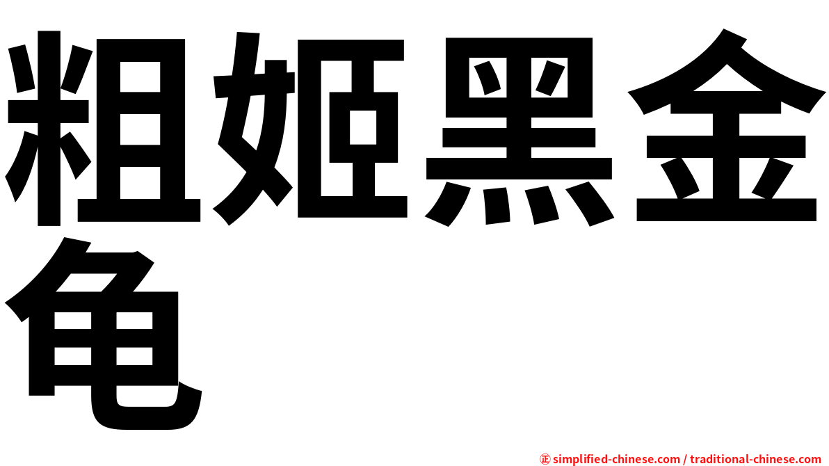 粗姬黑金龟