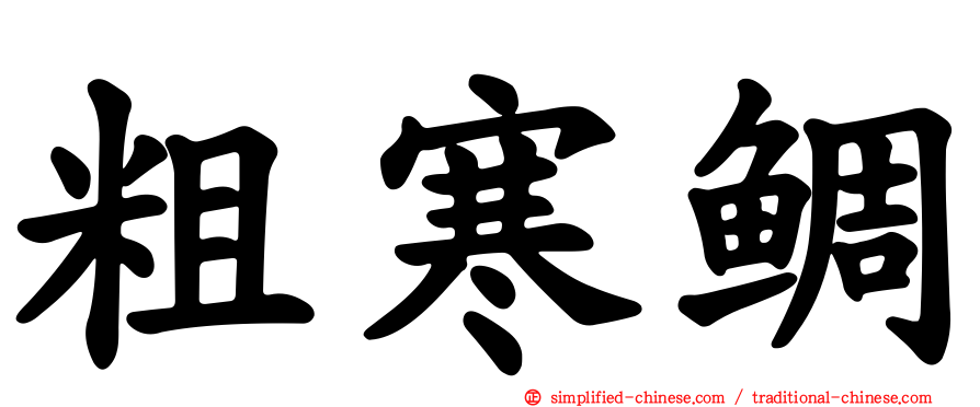 粗寒鲷