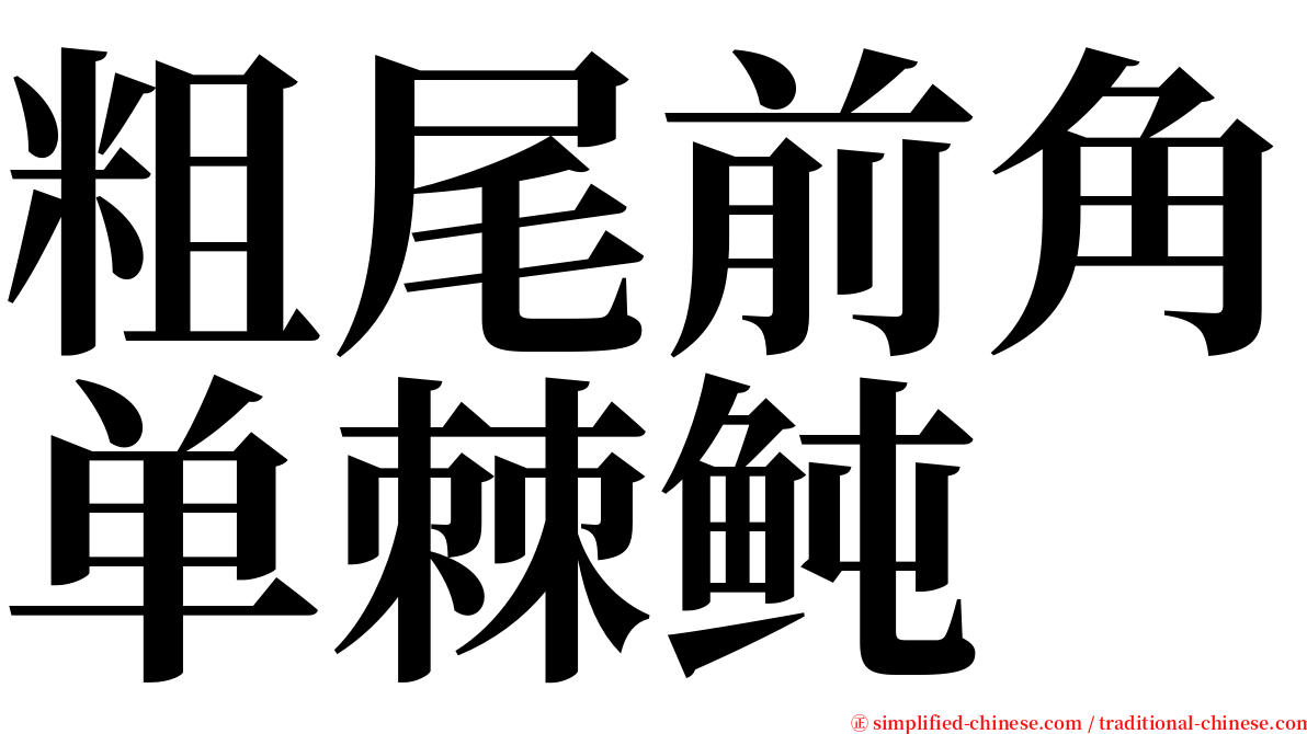 粗尾前角单棘鲀 serif font