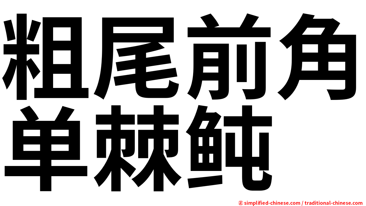 粗尾前角单棘鲀