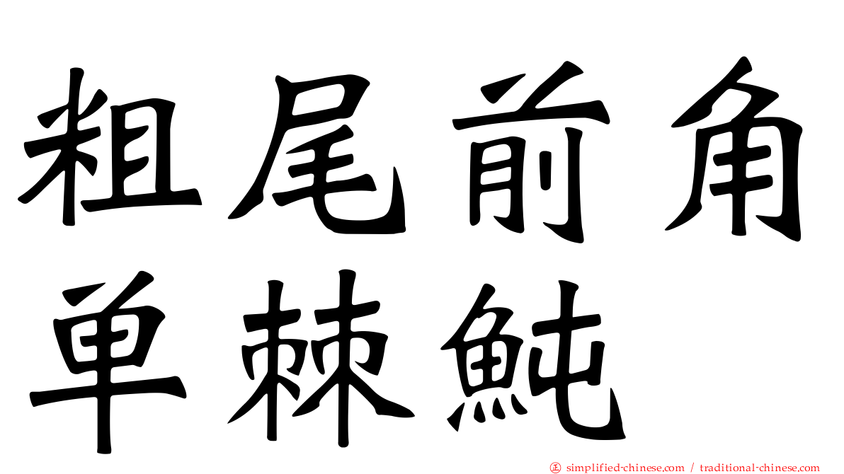 粗尾前角单棘鲀
