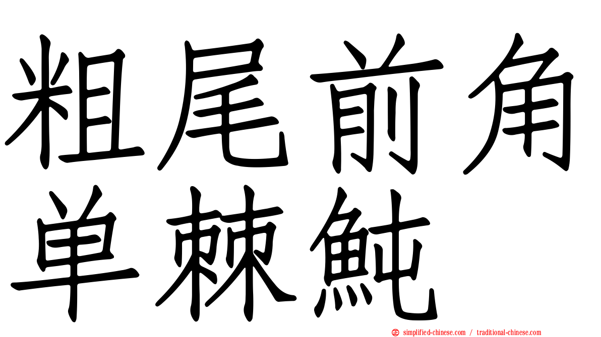 粗尾前角单棘鲀