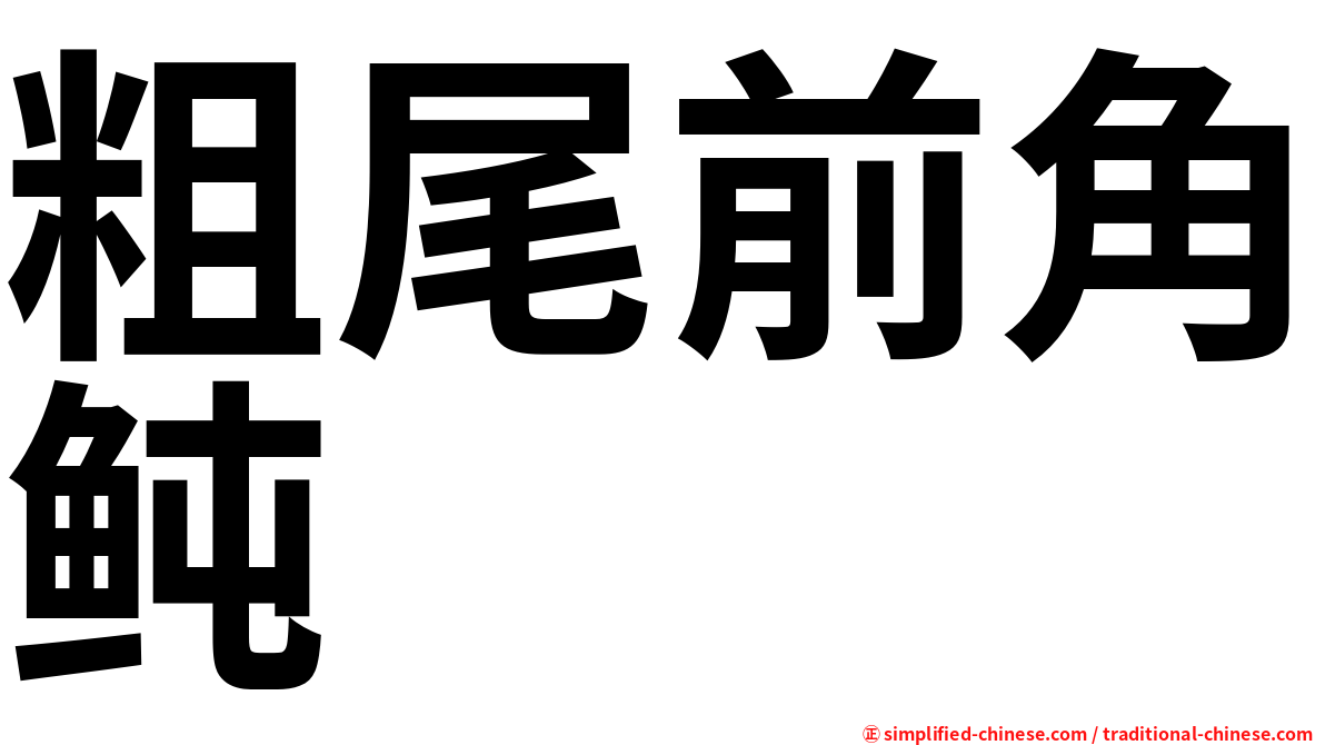 粗尾前角鲀