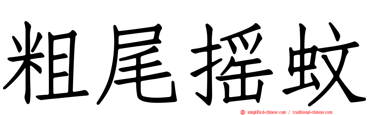 粗尾摇蚊