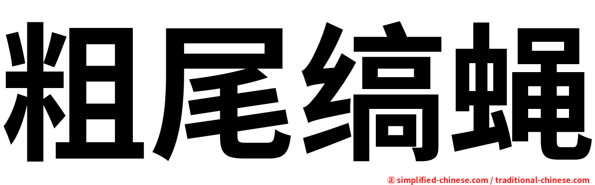 粗尾缟蝇