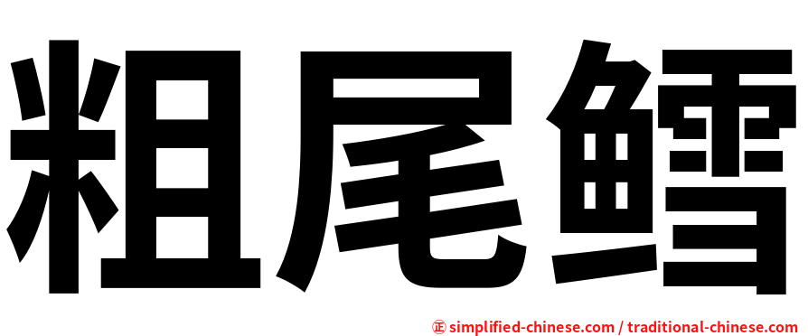 粗尾鳕