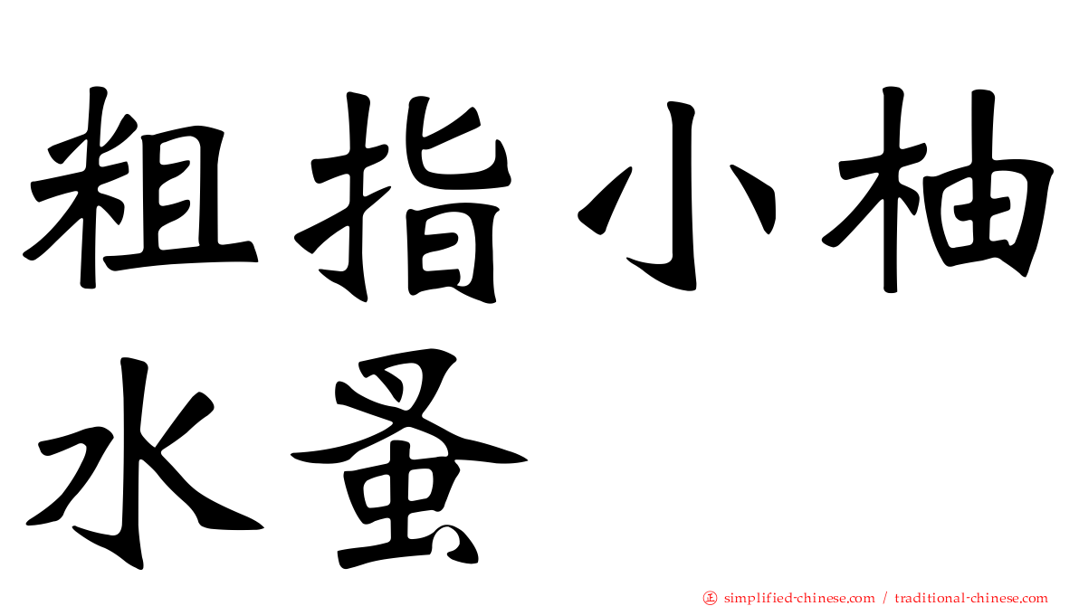 粗指小柚水蚤