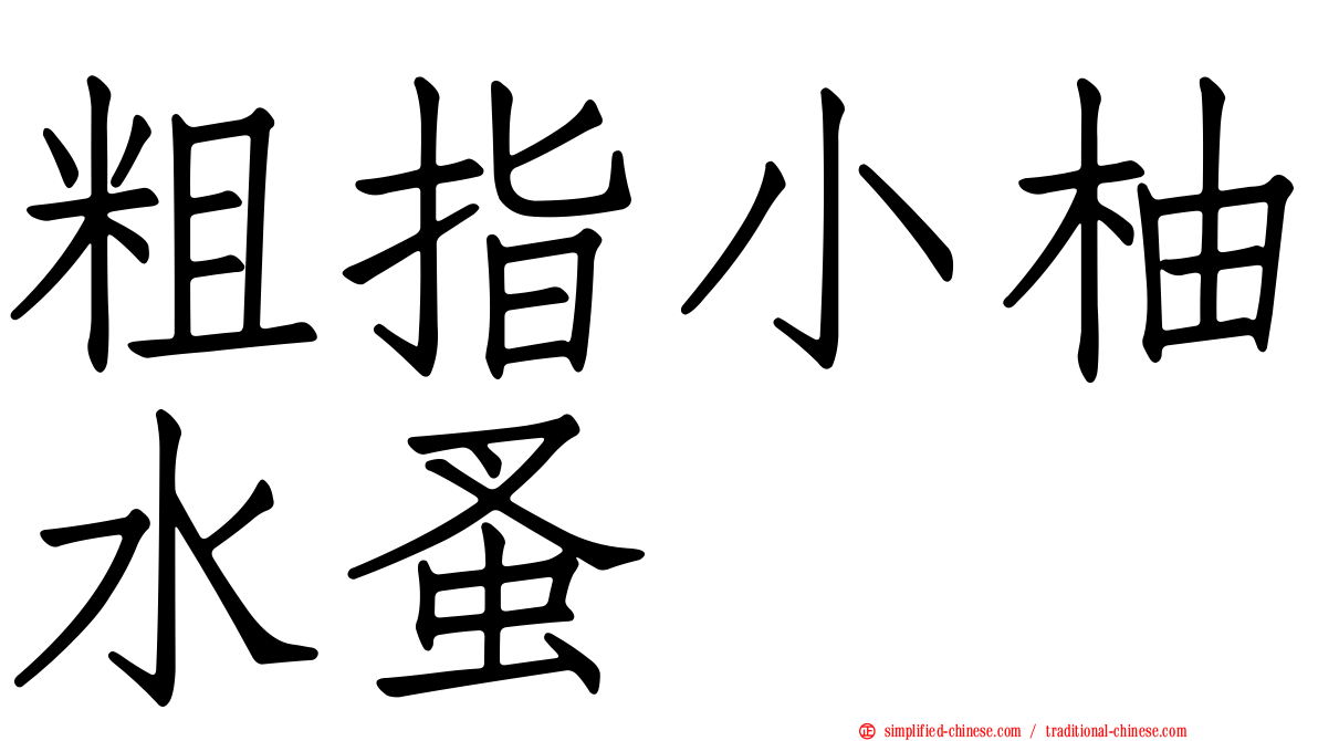粗指小柚水蚤