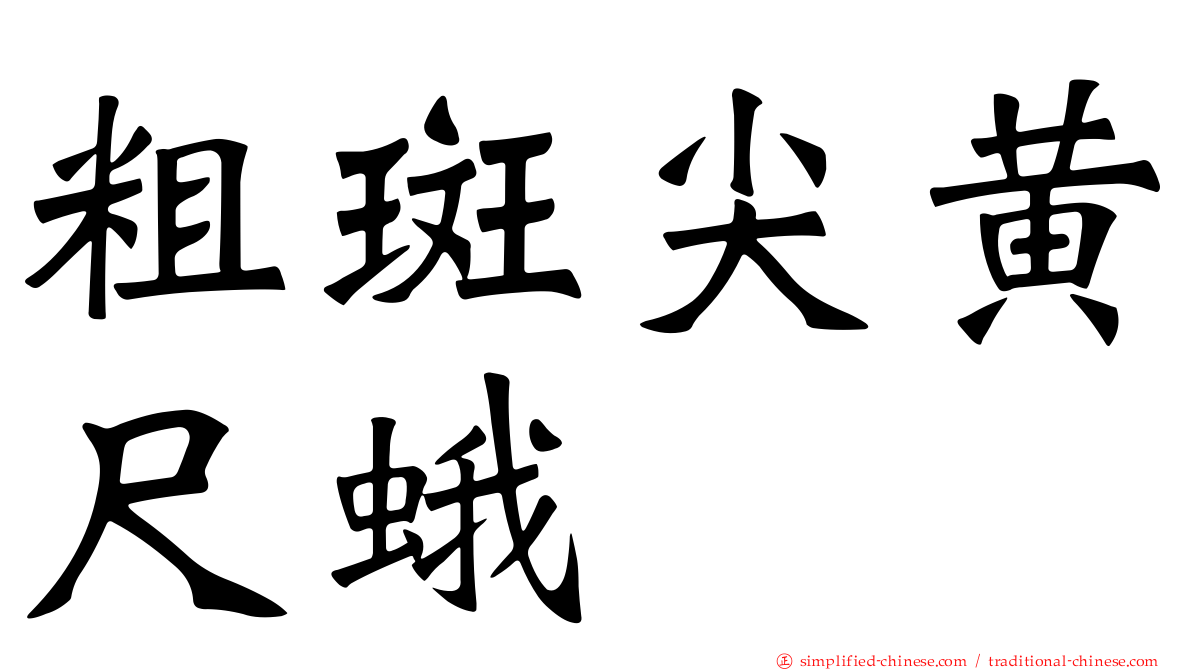 粗斑尖黄尺蛾
