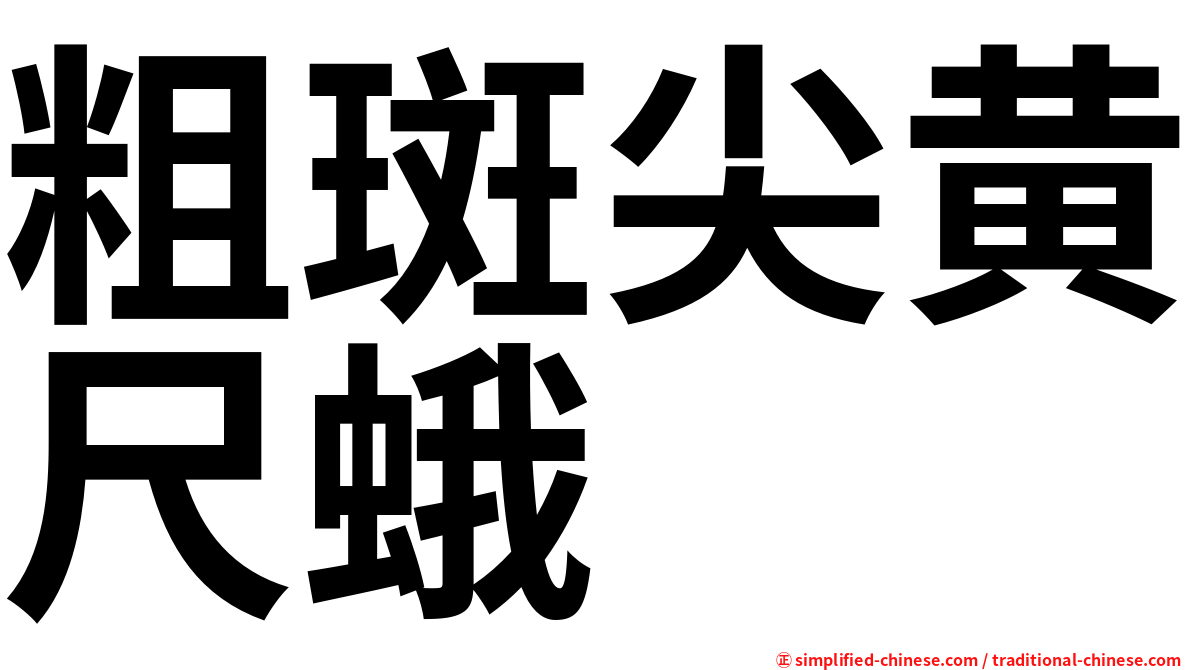粗斑尖黄尺蛾