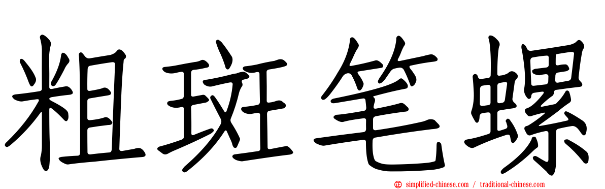 粗斑笔螺